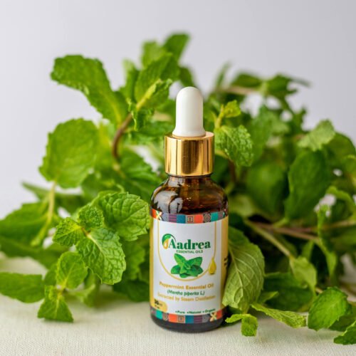 Huile essentielle de menthe